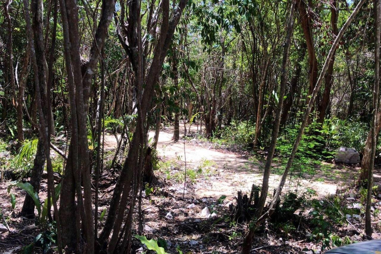 Tulum Nueve Hotel Eksteriør billede