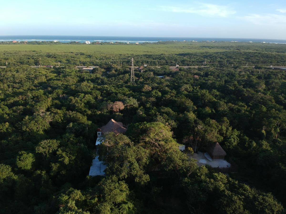 Tulum Nueve Hotel Eksteriør billede