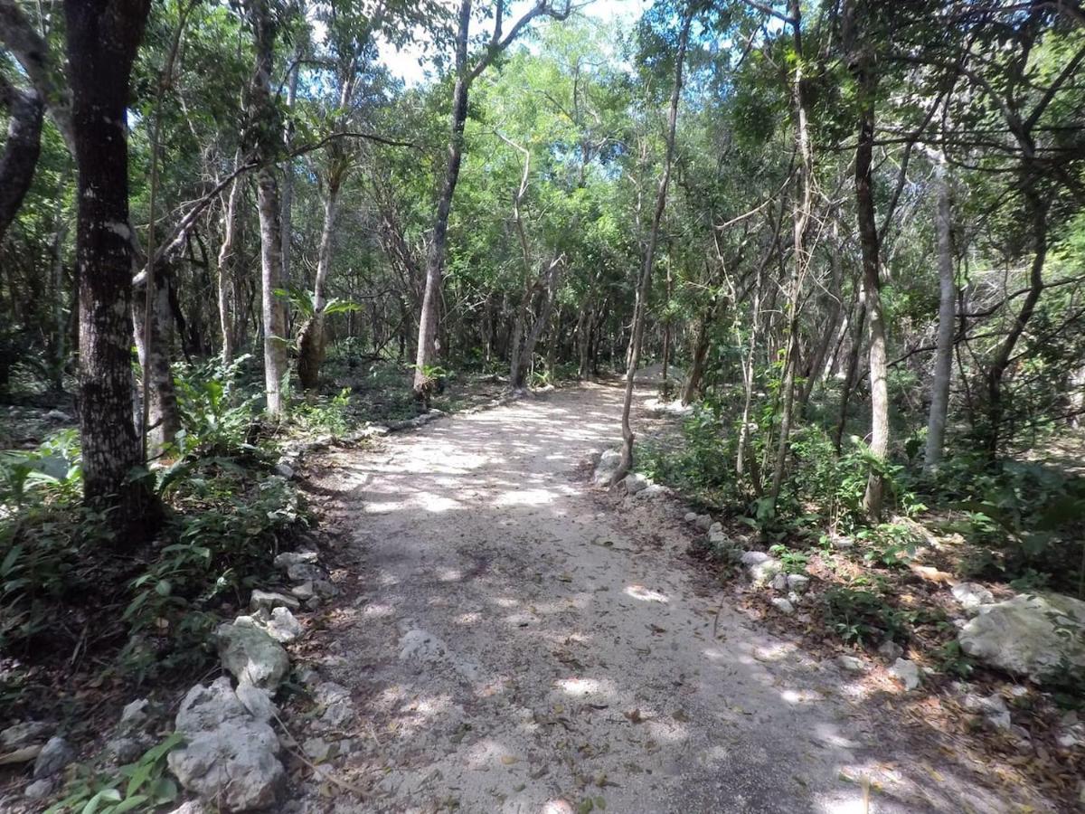 Tulum Nueve Hotel Eksteriør billede